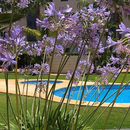 Apartment De Jardines Denia Ngoại thất bức ảnh